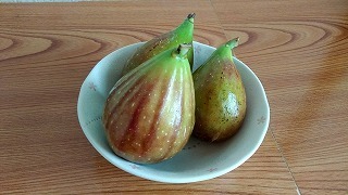 バナーネ